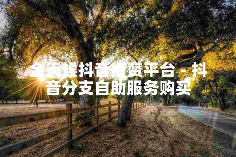 全天候抖音点赞平台 - 抖音分支自助服务购买