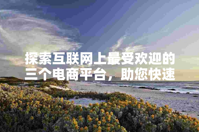 探索互联网上最受欢迎的三个电商平台，助您快速掌握电商行业动态。