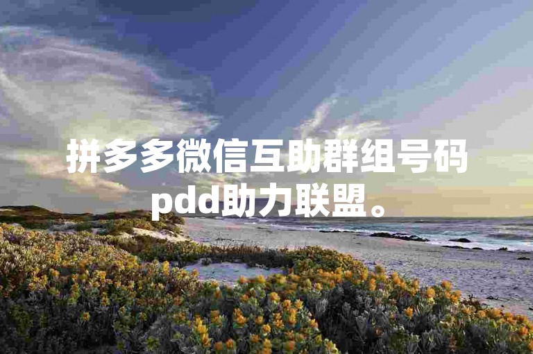 拼多多微信互助群组号码pdd助力联盟。