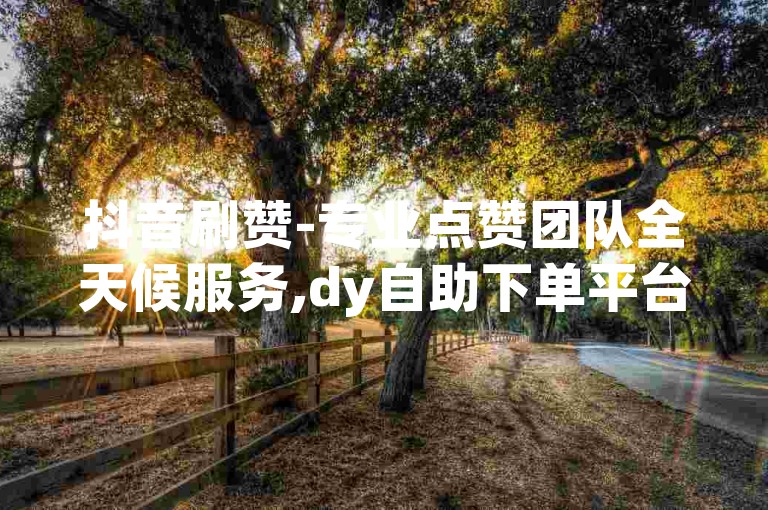 抖音刷赞-专业点赞团队全天候服务,dy自助下单平台。