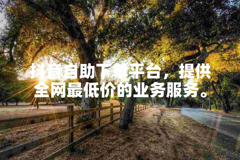 抖音自助下单平台，提供全网最低价的业务服务。