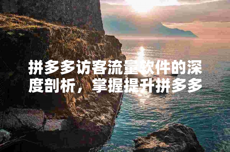 拼多多访客流量软件的深度剖析，掌握提升拼多多访客流量的实用软件！2025必备
