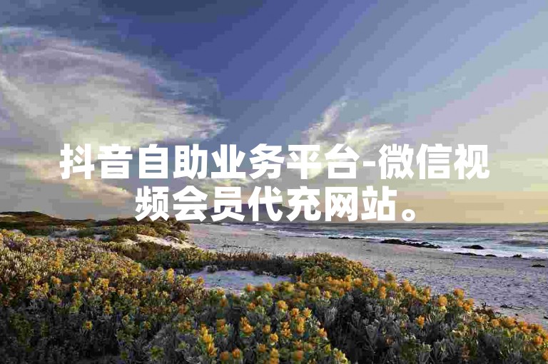抖音自助业务平台-微信视频会员代充网站。