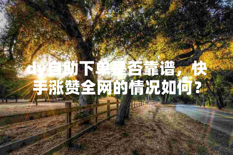 dy自助下单是否靠谱，快手涨赞全网的情况如何？