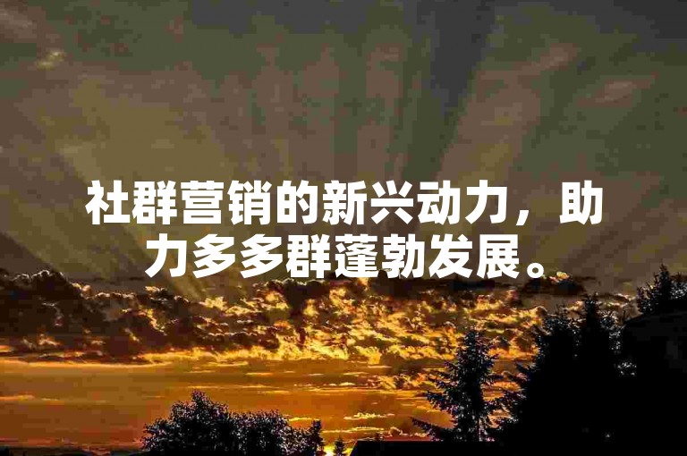 社群营销的新兴动力，助力多多群蓬勃发展。