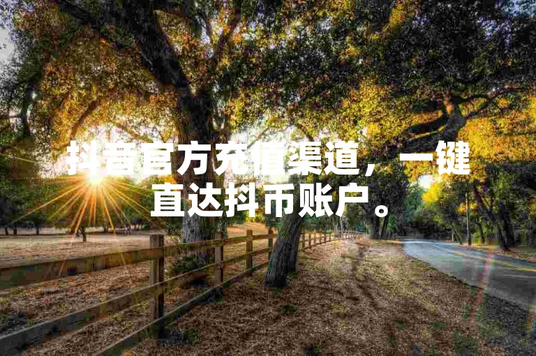 抖音官方充值渠道，一键直达抖币账户。