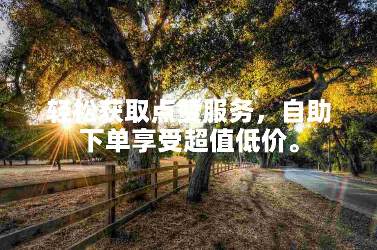 轻松获取点赞服务，自助下单享受超值低价。