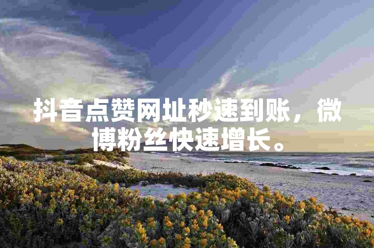 抖音点赞网址秒速到账，微博粉丝快速增长。