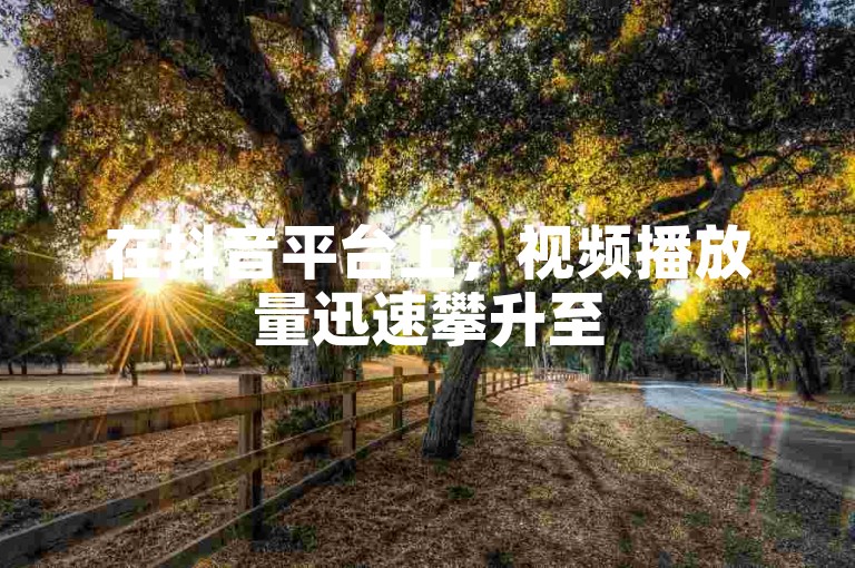 在抖音平台上，视频播放量迅速攀升至500次，得益于一种高效的自助下单秒刷服务。