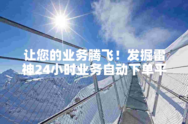 让您的业务腾飞！发掘雷神24小时业务自动下单平台带来的无尽潜力。