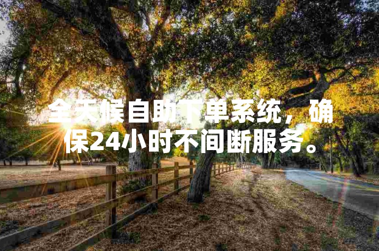 全天候自助下单系统，确保24小时不间断服务。