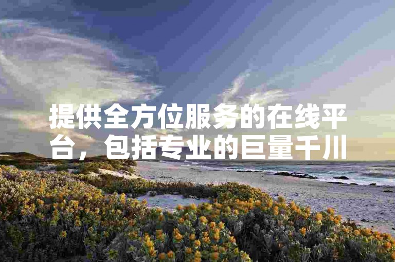提供全方位服务的在线平台，包括专业的巨量千川客服支持、KS小号发卡服务，以及抖音粉丝增长和快手评论点赞的即时下单选项。