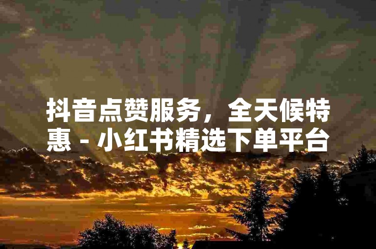 抖音点赞服务，全天候特惠 - 小红书精选下单平台，支持微信支付。