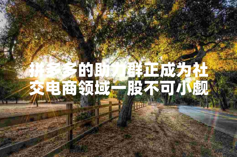 拼多多的助力群正成为社交电商领域一股不可小觑的新动力。