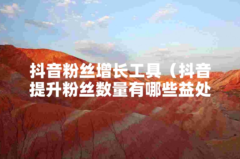 抖音粉丝增长工具（抖音提升粉丝数量有哪些益处）