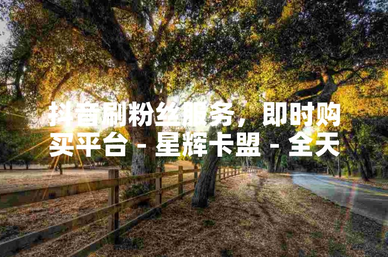 抖音刷粉丝服务，即时购买平台 - 星辉卡盟 - 全天候提供抖音点赞和评论服务。