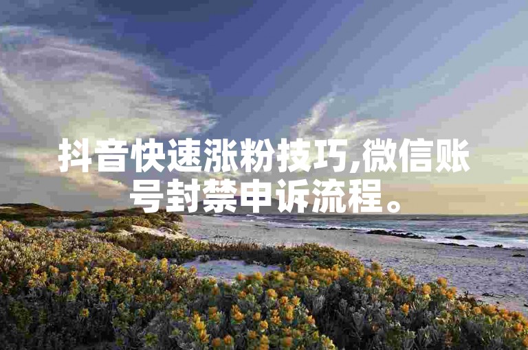 抖音快速涨粉技巧,微信账号封禁申诉流程。