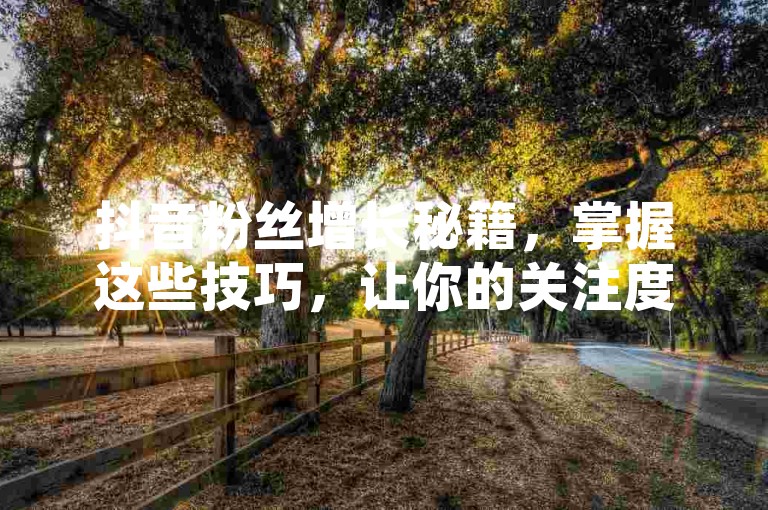 抖音粉丝增长秘籍，掌握这些技巧，让你的关注度飙升！2025年必备技能。