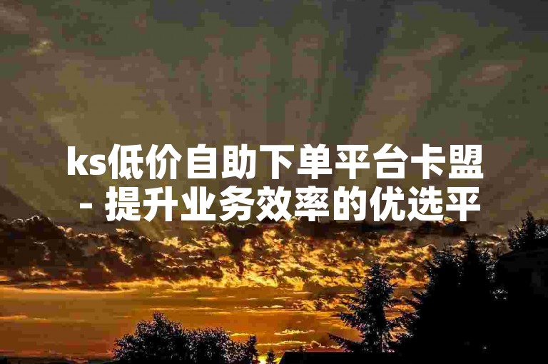 ks低价自助下单平台卡盟 - 提升业务效率的优选平台。