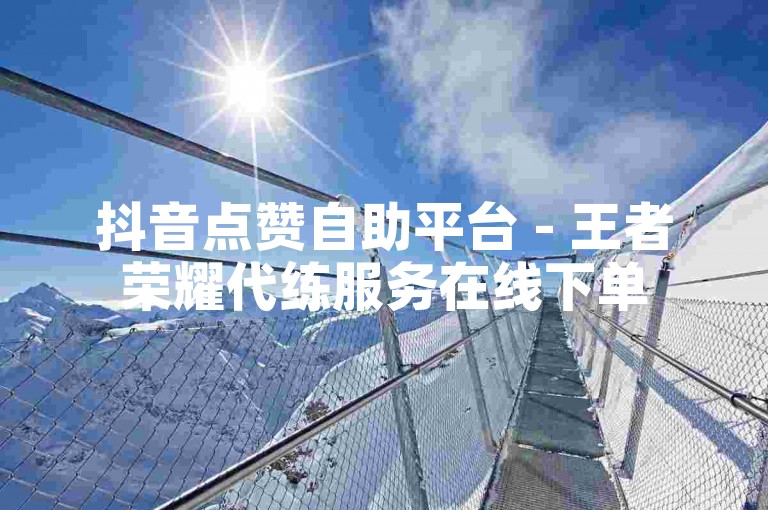 抖音点赞自助平台 - 王者荣耀代练服务在线下单