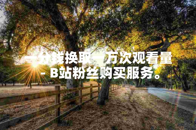 一分钱换取一万次观看量 - B站粉丝购买服务。