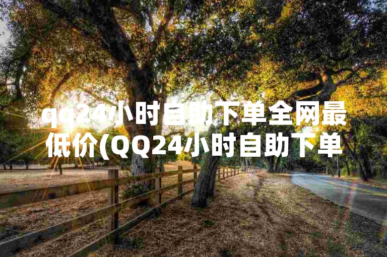 qq24小时自助下单全网最低价(QQ24小时自助下单 网价最低)