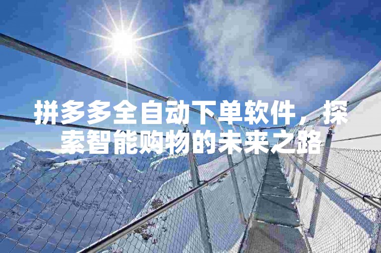 拼多多全自动下单软件，探索智能购物的未来之路